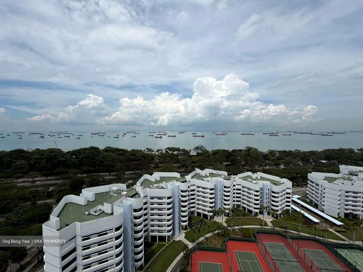 Mandarin Gardens (D15), Condominium #554928721